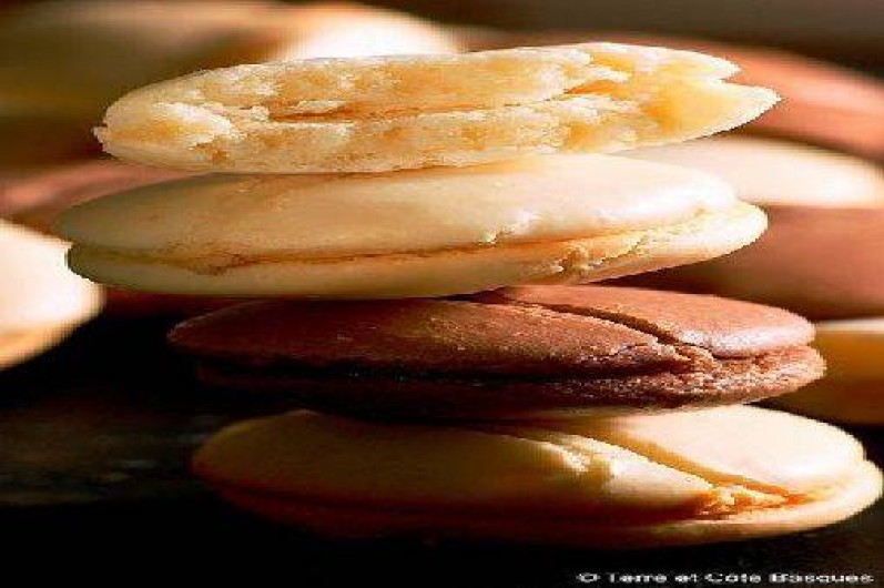 Location de vacances - Villa à Urrugne