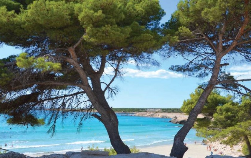 La poste sausset les pins