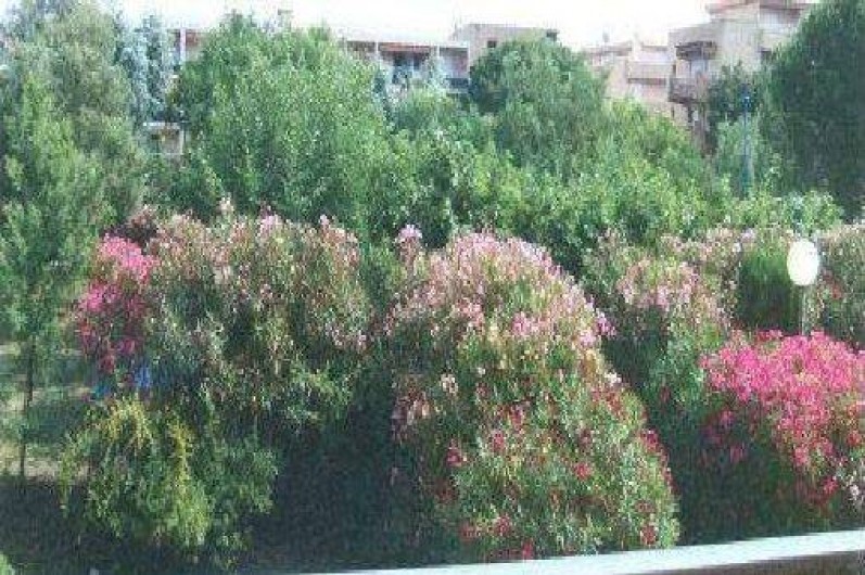 Location de vacances - Appartement à Bormes-les-Mimosas