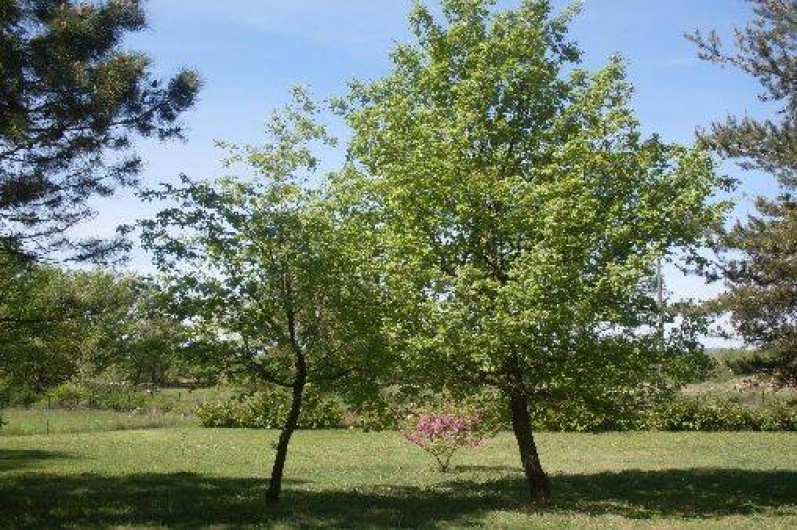 Location de vacances - Villa à Tourrettes