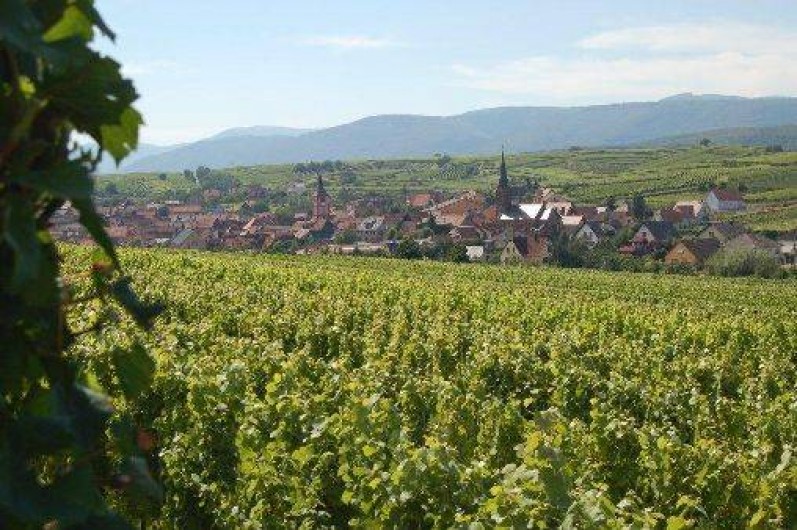 Location de vacances - Gîte à Balbronn