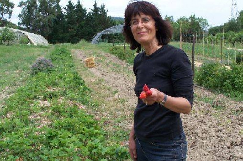 Location de vacances - Gîte à Saint-Christol-lès-Alès