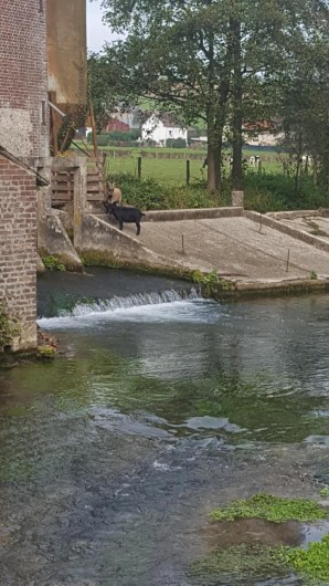 Location de vacances - Gîte à Beussent - LE MOULIN DE BEUSSENT