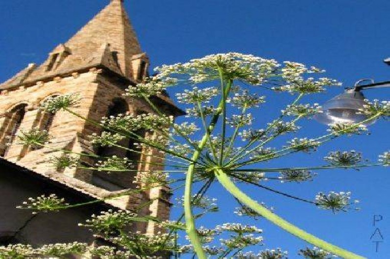 Location de vacances - Chambre d'hôtes à La Grave