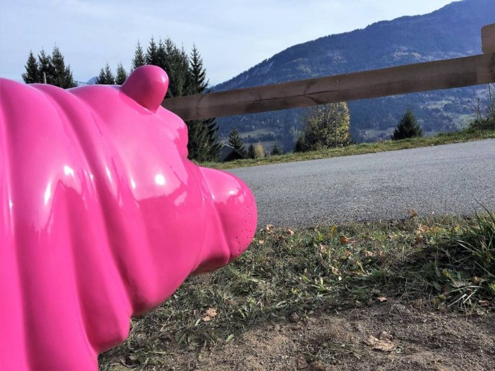 Location de vacances - Chalet à Les Avanchers-Valmorel - Un hippotame rose à 1500 mètres... c'est possible !