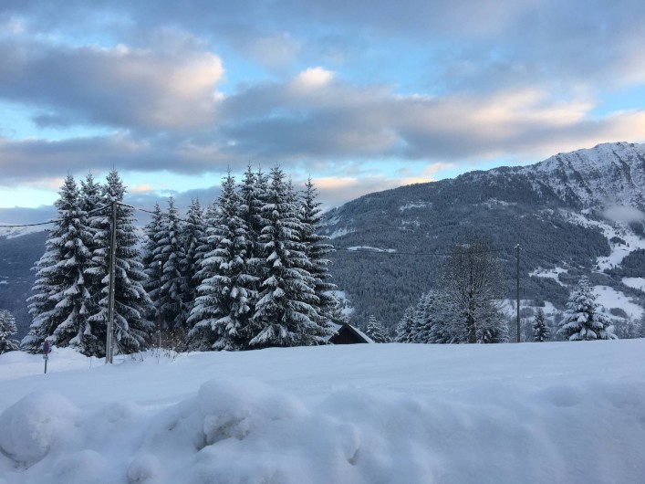 Location de vacances - Chalet à Les Avanchers-Valmorel - vu de la terrasse du chalet