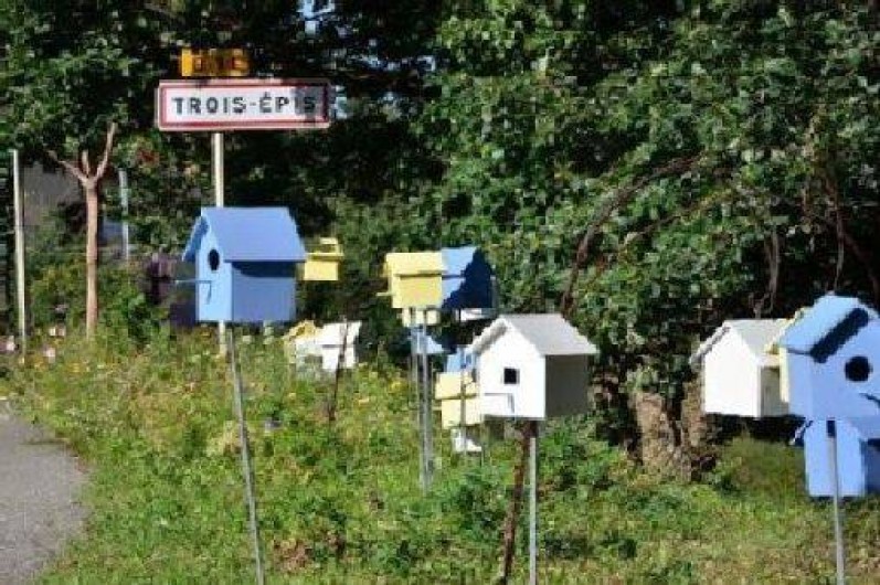 Location de vacances - Chalet à Les Trois Epis