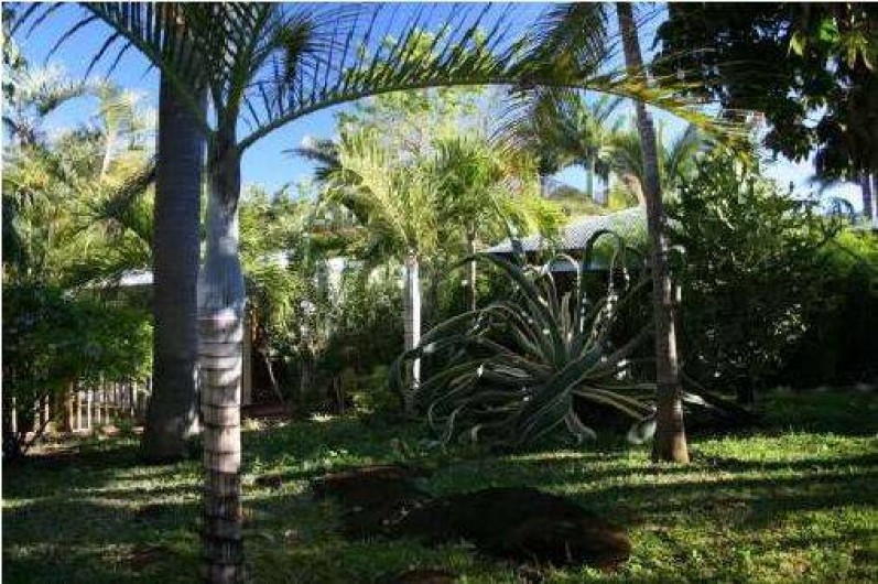 Location de vacances - Bungalow - Mobilhome à L'Étang-Salé