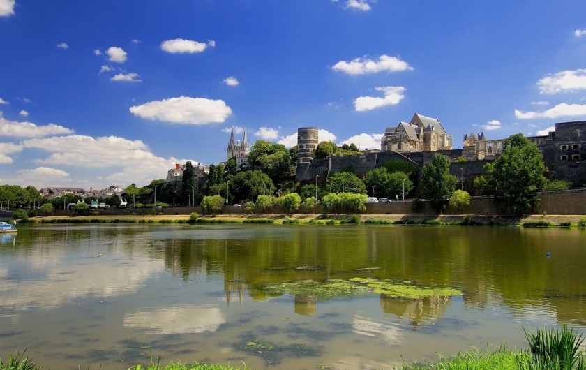 Location de vacances - Maison - Villa à Rives-du-Loir-en-Anjou - VUE D ENSEMBLE D ANGERS (9KMS) de la maison