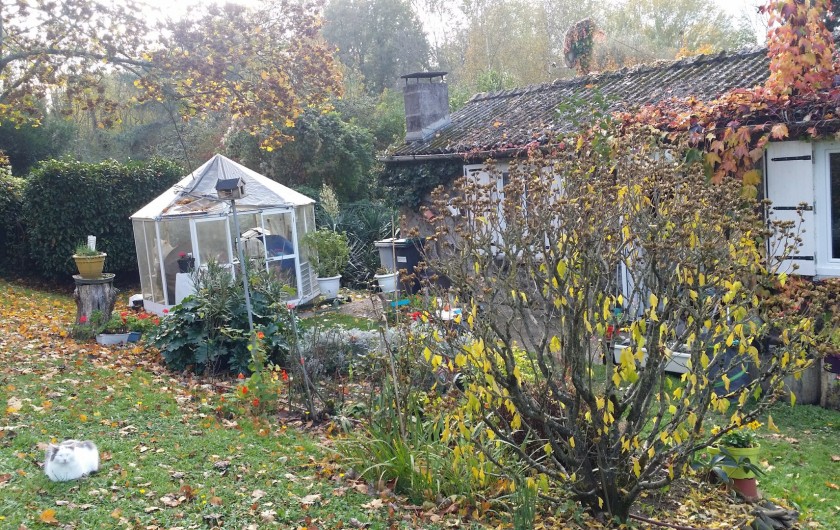 Location de vacances - Maison - Villa à Rives-du-Loir-en-Anjou - LA MAISON A L'ENTREE DE L HIVER