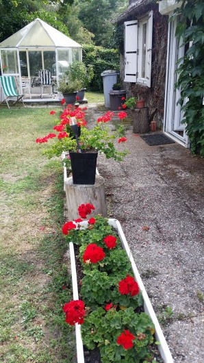 Location de vacances - Maison - Villa à Rives-du-Loir-en-Anjou - GERANIUMS