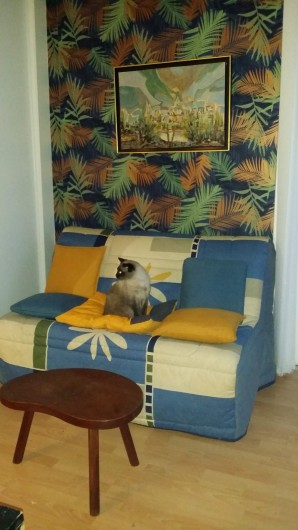 Location de vacances - Maison - Villa à Rives-du-Loir-en-Anjou - MON SIAMOIS DANS LE SALON