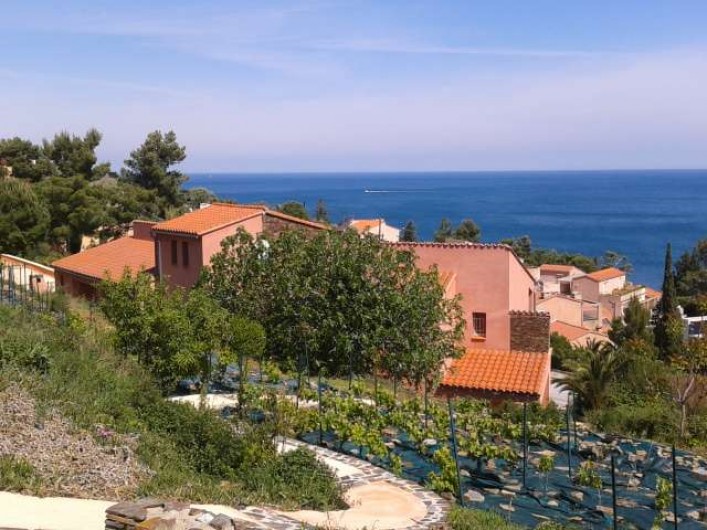 Location de vacances - Appartement à Collioure