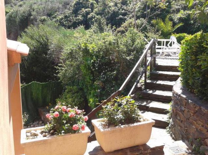 Location de vacances - Appartement à Collioure