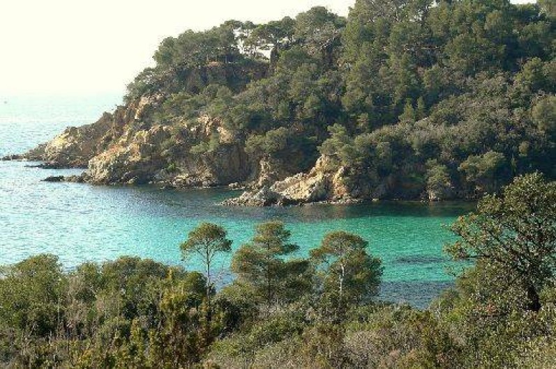 Location de vacances - Appartement à Le Lavandou