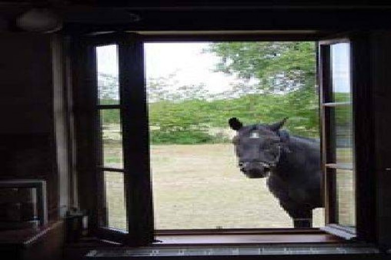 Location de vacances - Gîte à Clère-du-Bois
