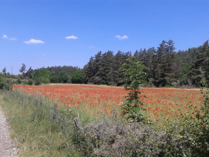 Location de vacances - Gîte à Saint-Georges-de-Lévéjac