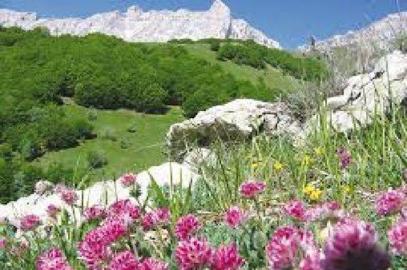 Location de vacances - Appartement à Superdévoluy