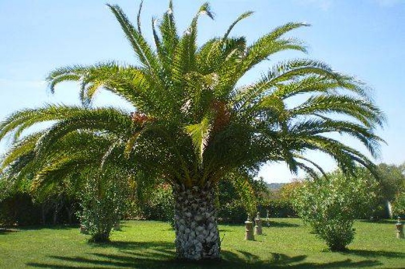 Location de vacances - Villa à Faro