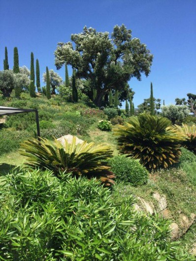 Location de vacances - Villa à Grimaud