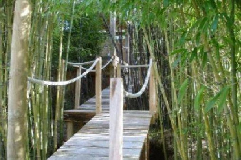 Location de vacances - Gîte à Gujan-Mestras