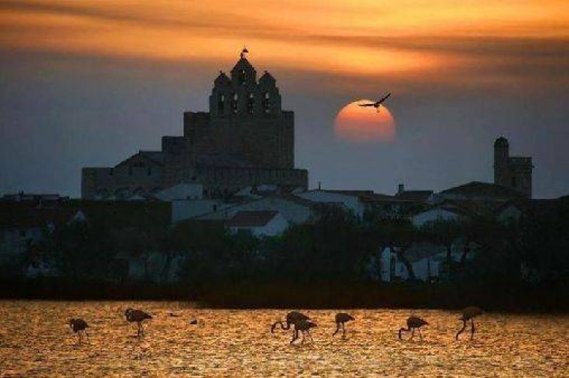 Location de vacances - Appartement à Saintes-Maries-de-la-Mer