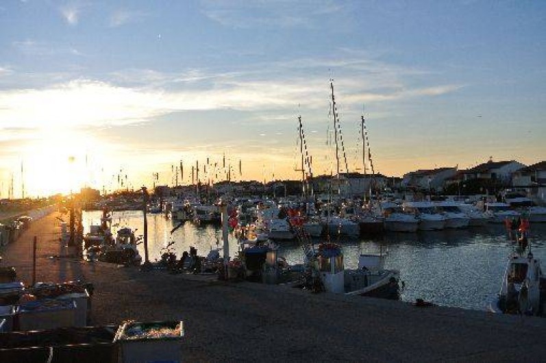 Location de vacances - Appartement à Saintes-Maries-de-la-Mer