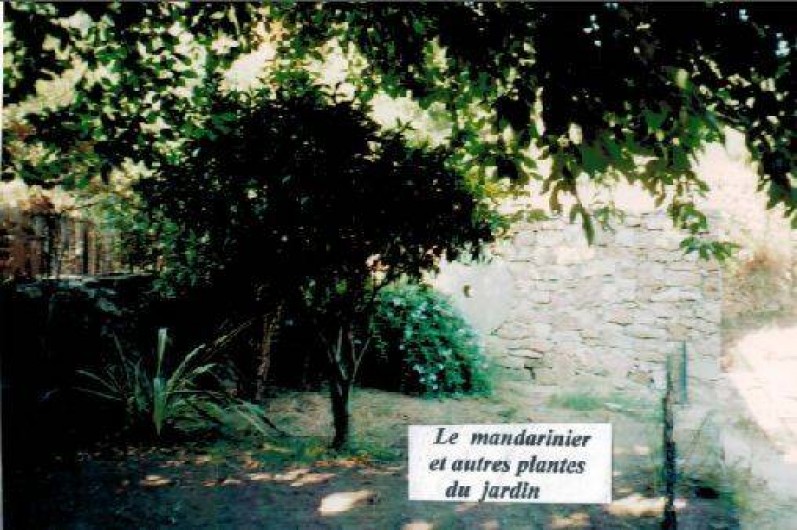 Location de vacances - Maison - Villa à Lavatoggio