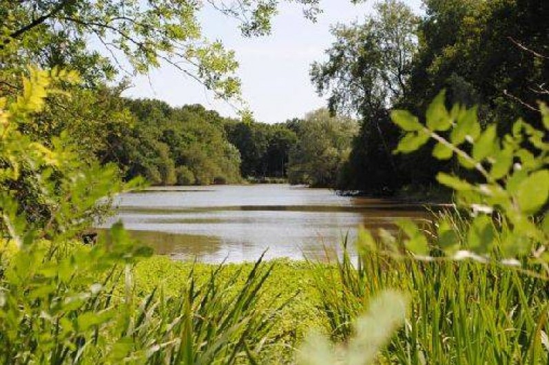 Location de vacances - Gîte à Mesland