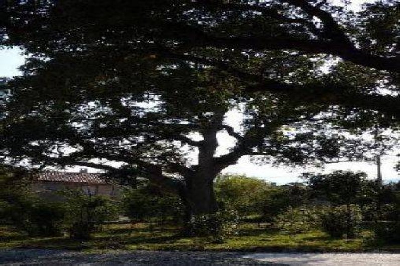 Location de vacances - Maison - Villa à Lecci