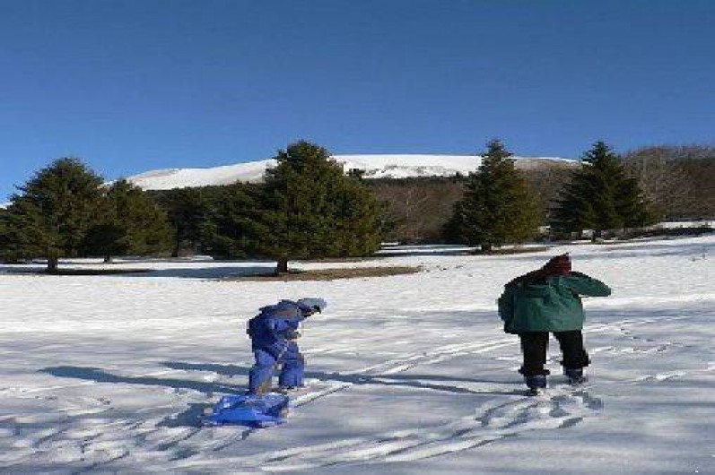 Location de vacances - Appartement à Saint-Théoffrey