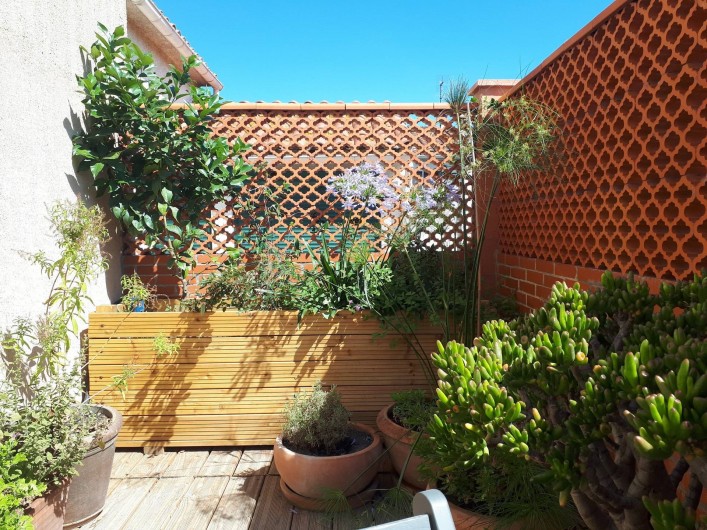 Location de vacances - Appartement à Perpignan