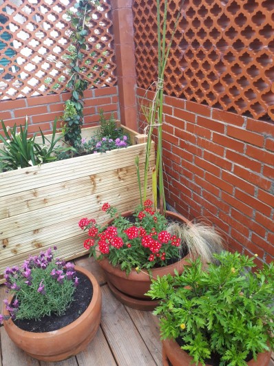 Location de vacances - Appartement à Perpignan