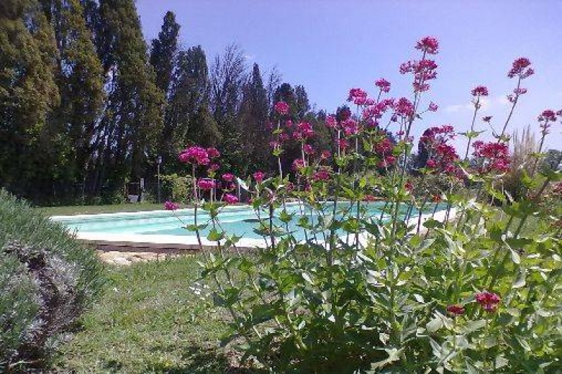 Location de vacances - Maison - Villa à Saint-Rémy-de-Provence