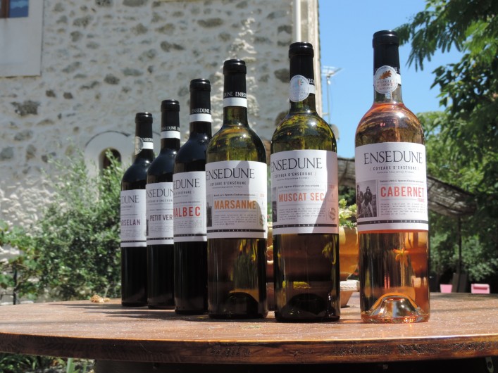 Location de vacances - Gîte à Sallèles-d'Aude - Vin