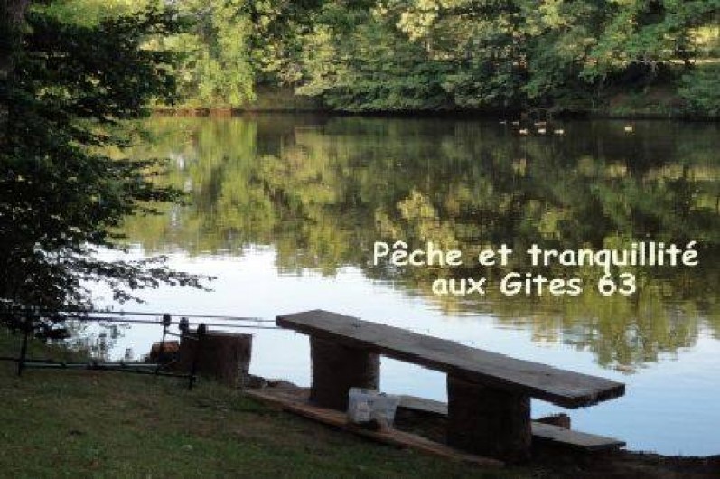 Location de vacances - Gîte à Lapeyrouse