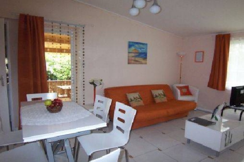 Location de vacances - Gîte à Lapeyrouse - salon Sécotine