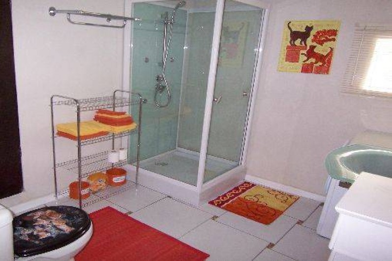 Location de vacances - Gîte à Lapeyrouse - Douche à jets multiple