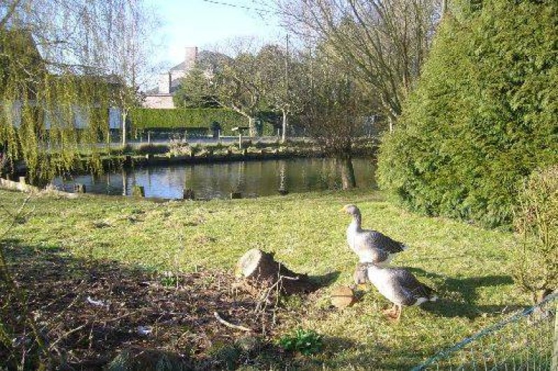 Location de vacances - Gîte à Volckerinckhove