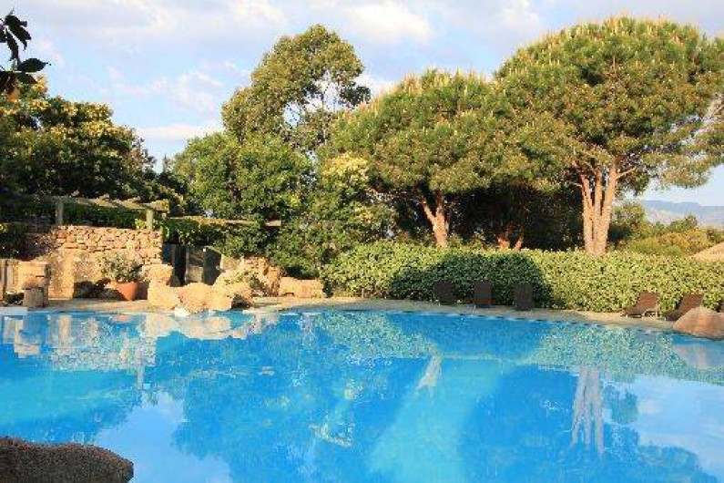 Location de vacances - Studio à Porto-Vecchio