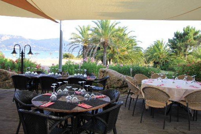 Location de vacances - Studio à Porto-Vecchio