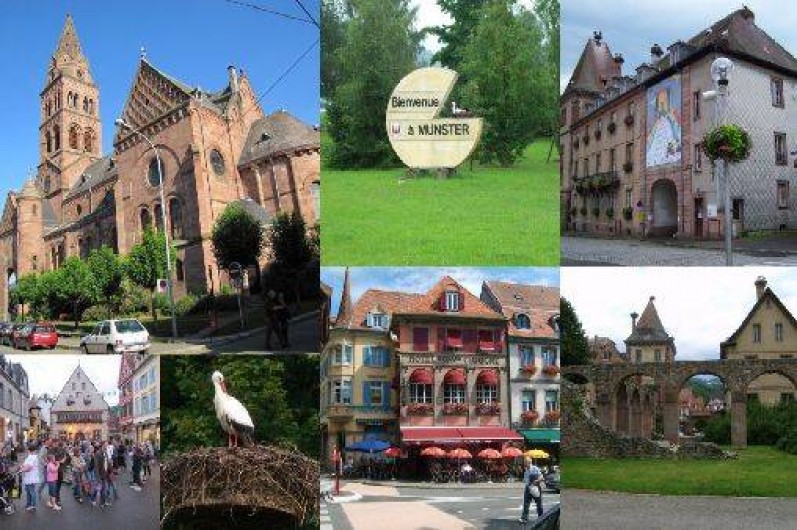 Location de vacances - Appartement à Munster