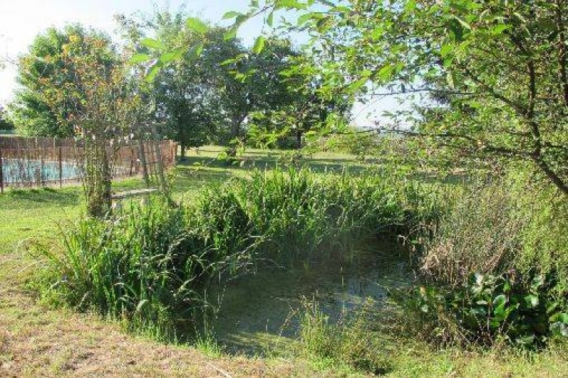 Location de vacances - Gîte à Chissay-en-Touraine