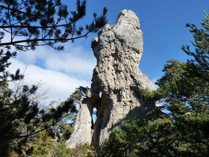 Location de vacances - Camping à Rivière-sur-Tarn