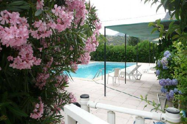 Location de vacances - Maison - Villa à Calenzana