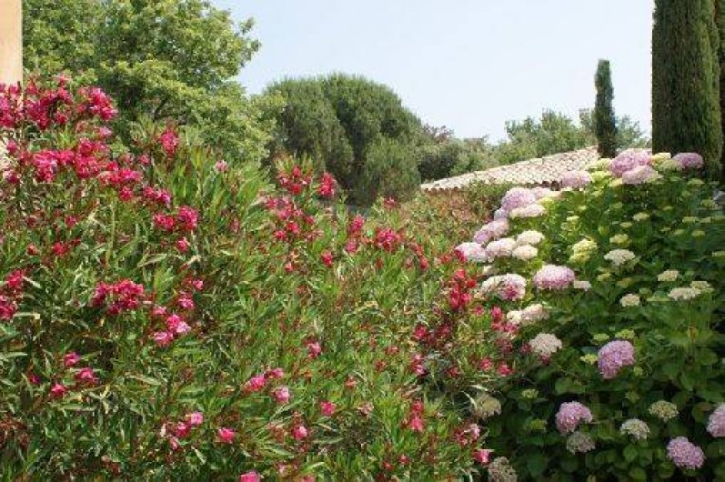 Location de vacances - Chambre d'hôtes à Grimaud