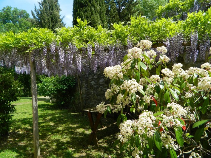 Location de vacances - Gîte à Campiglia D'orcia - un angolo dell'aia