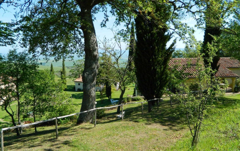 Location de vacances - Gîte à Campiglia D'orcia - veduta d'insieme