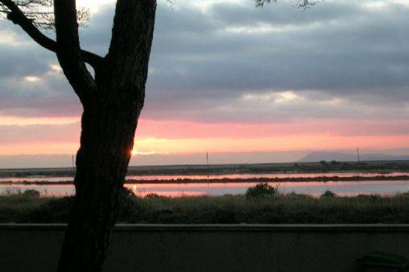 Location de vacances - Appartement à Hyères