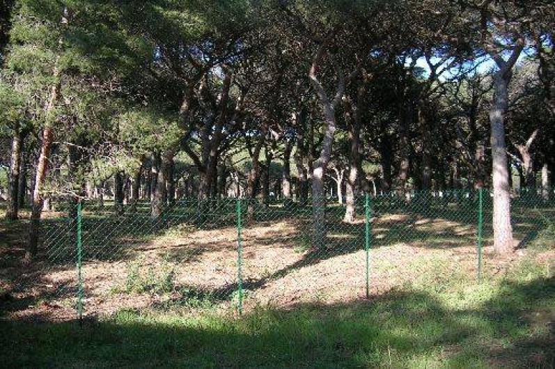 Location de vacances - Appartement à Hyères